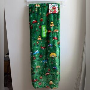 **SAME DAY Shipping** Sesame Street Christmas Throw